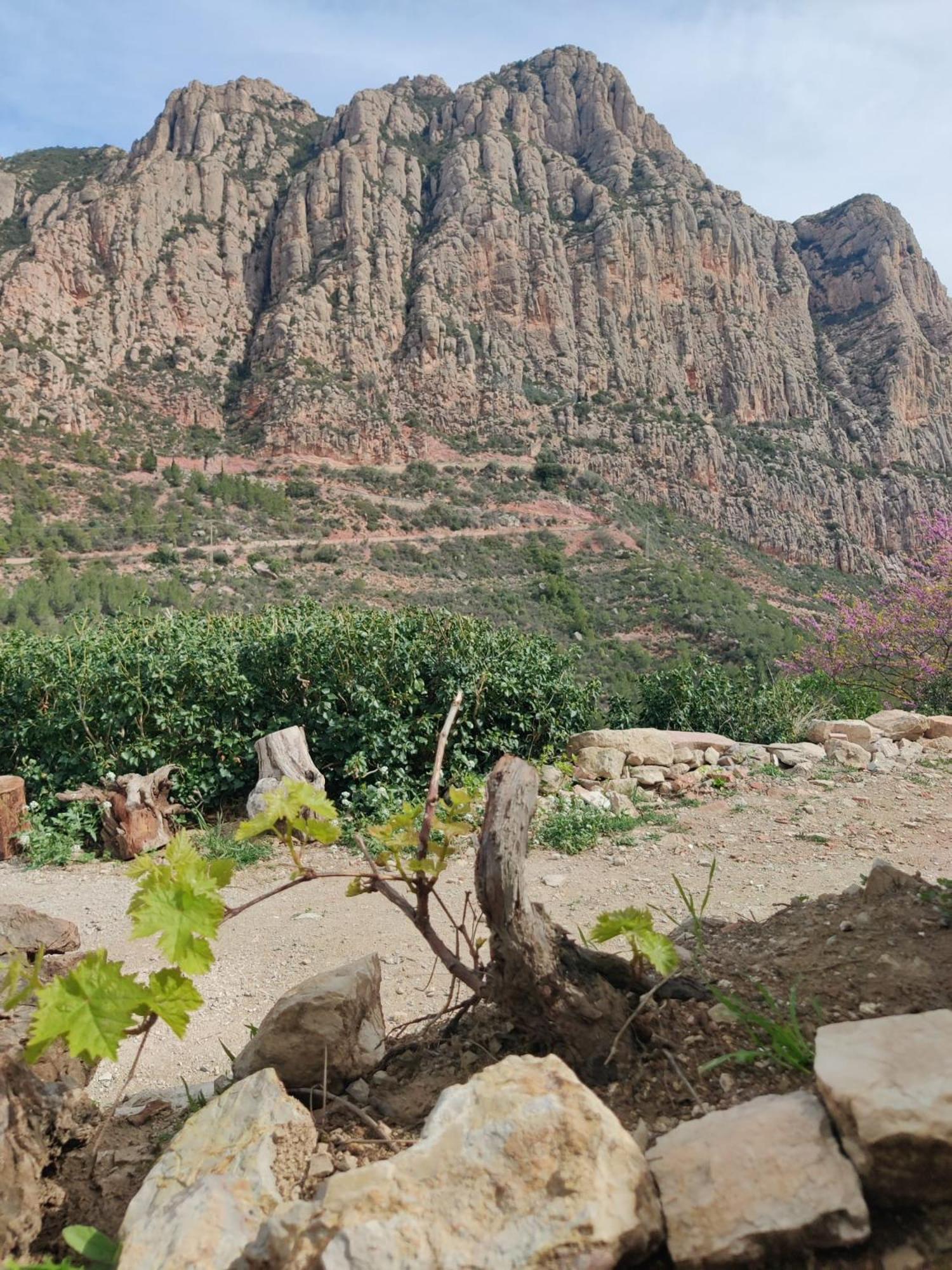 Cal Simon- Casa A Montserrat Collbató Екстериор снимка